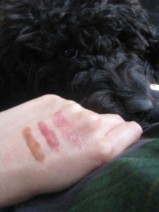 Another look at the glosses while my puppy Penelope nibbles on my fingers.  